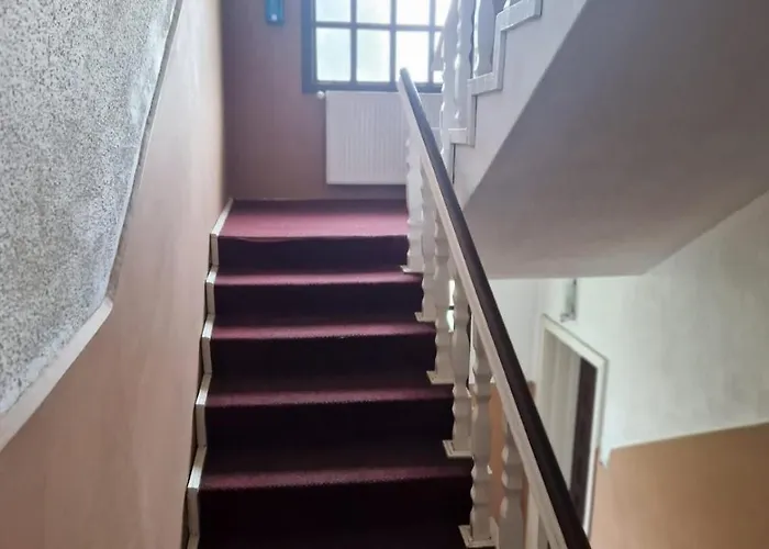 Flava Hostel Cluj-Napoca